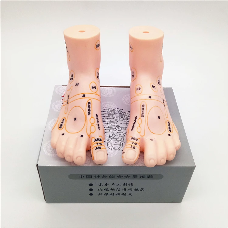 

New Style Human Acupoint Foot Model Foot Mannequin Female Mannequin Factory Direct Sell