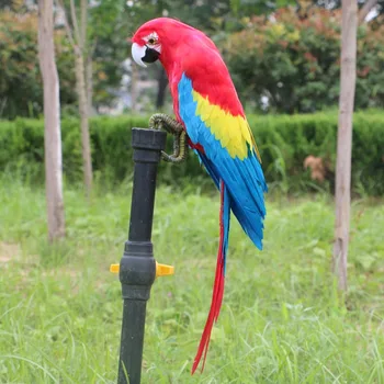 

Artificial Big Parrot Animal Home Decoration Teaching Props Artificial Big Parrot Artificial Birds colorful simulation Parrots