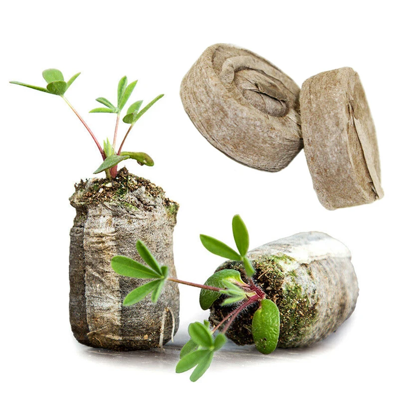 

25pcs Seedling Block Peat Pellet 30mm Nursery Plugs Starting Seedling Plant Transplanting Soil Block Jiffy Home Professional Pea