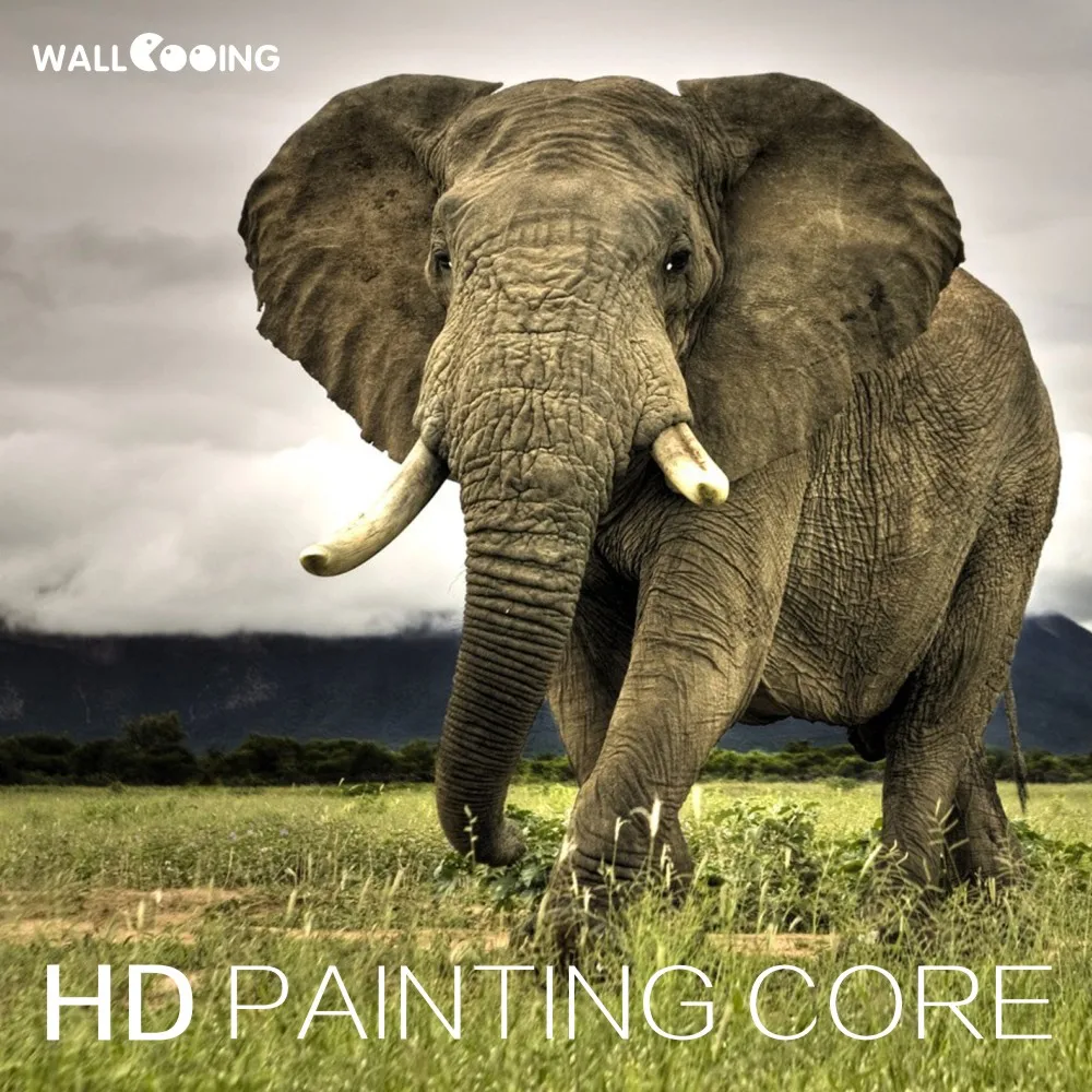 5 шт. холст картины Высокое качество HD отличное искусство африканские фотографии