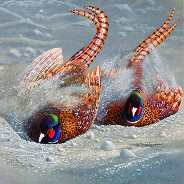 DIY 5D Diamond Painting Mandarin Duck Snow Diamond Embroidery Animals