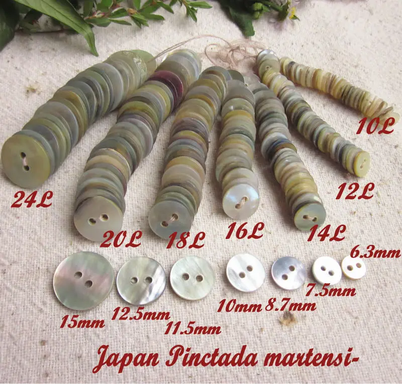 Shell buttons2
