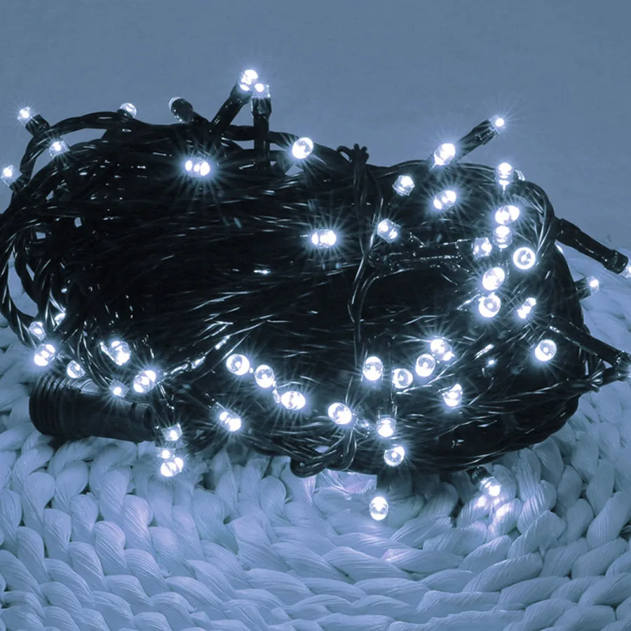 4355221804_1992359590