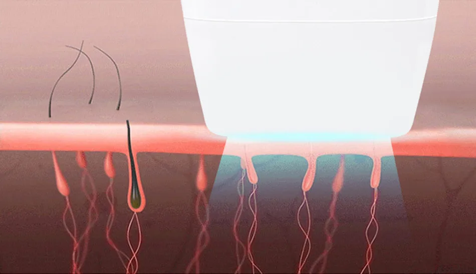 9217217566_1109907816_