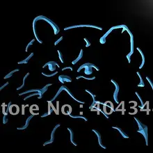 LB991-Гималайский Кот Китти любимая кошка NR световая вывеска