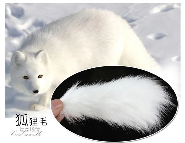 https://cbu01.alicdn.com/img/ibank/2016/805/788/2927887508_189424946.jpg