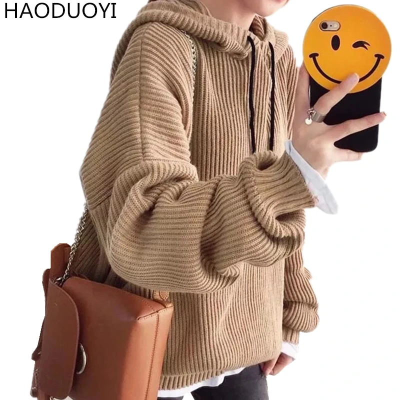 Hooded Long Sweater Women 2017 New Autumn Winter Oversize