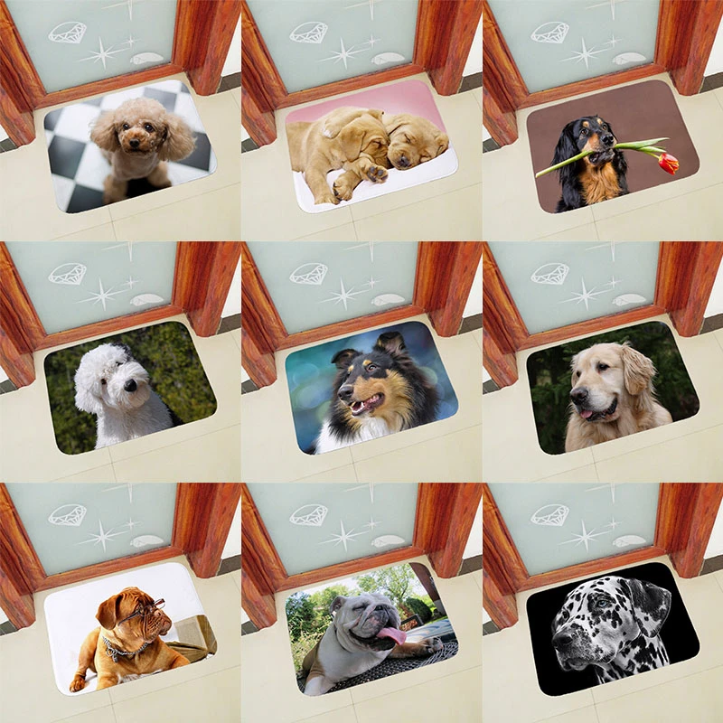 

Quality Anti slip doormat for entrance door mats outdoor indoor front door mat Thicken flannel 40x60cm 50x80cm dogs printed QXB5