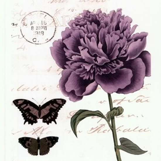 Small Vintage Floral IV Poster Print by Vision studio (10 x 13)