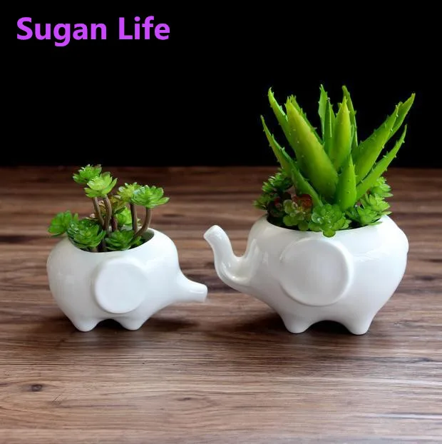 

Cute Mini White Ceramic Elephant Desktop Small Flower Succulent Plants Planters Pots Bonsai Pots Flowerpot Home Table Decoration