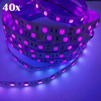 

FREE DHL 200M Korea Chip 395nm UV Ultraviolet Black Light 300LED Non Waterproof DC12V 5050 LED Strip Light,3 Years Warranty