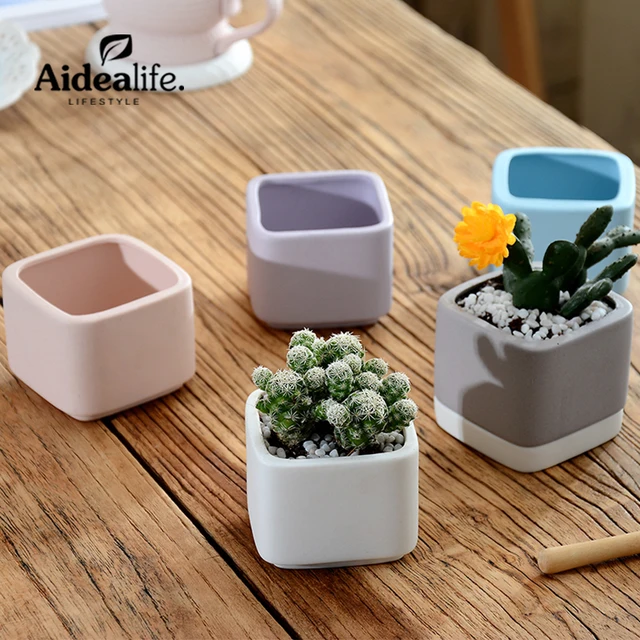 Mini Ceramic Flower Pots Planters For Succulents Indoor Modern Mini Ceramic Flower Pots Planters For Succulents Indoor Modern Gardening Square White Pot