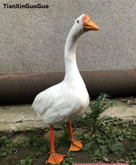 1 - 