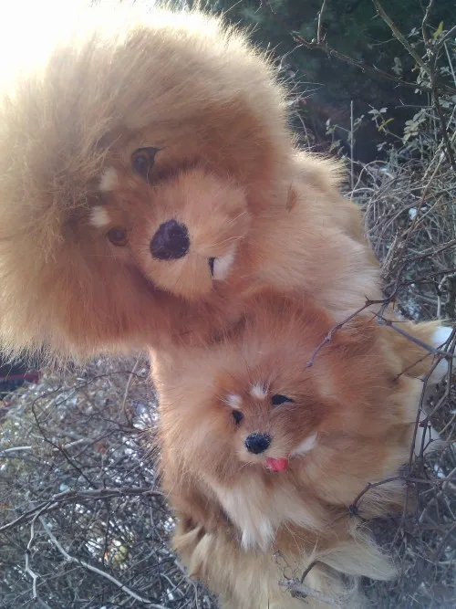 tibetan mastiff plush