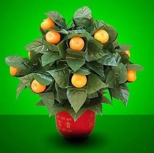 

10 Blooming Oranges - Remote Control (,Battery Version) Magic Tricks Stage Appear Magic Party Wedding Props Comedy Magic Shows