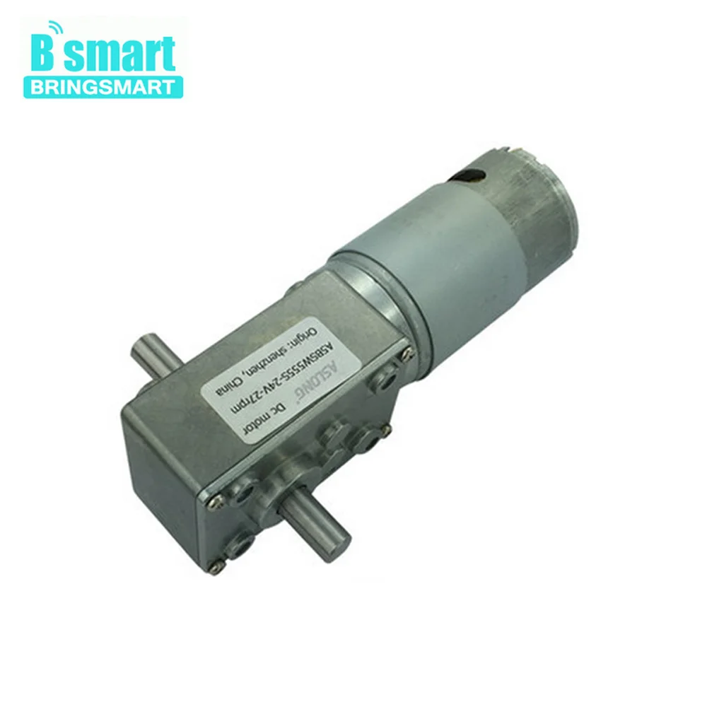 

Bringsmart Wholesale A58SW-555S 6- 24v Worm Geared Motor 12v Double Shaft Reverse Motor DIY Robot Door Lock Self-lock Motor