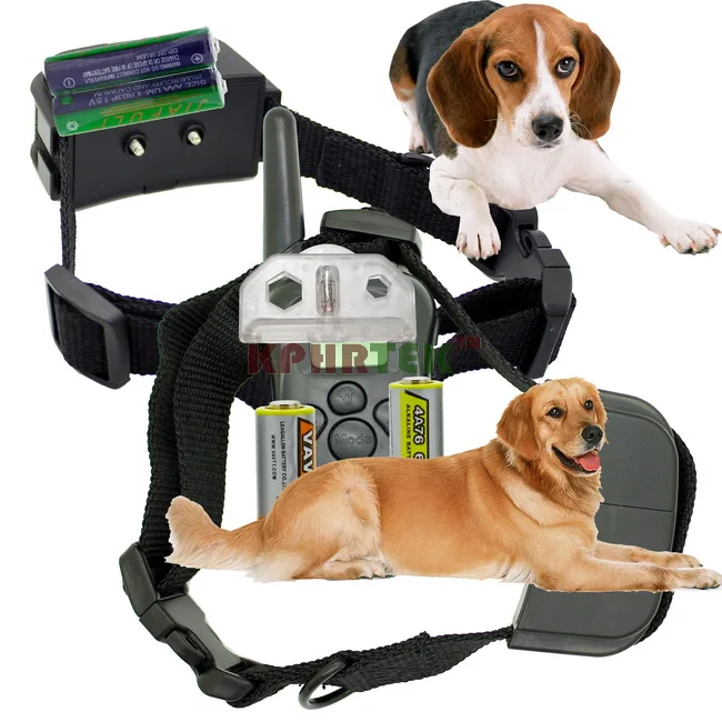 2 collars for 2 dogs