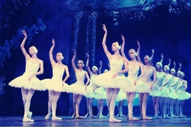 2803118472_1767878387