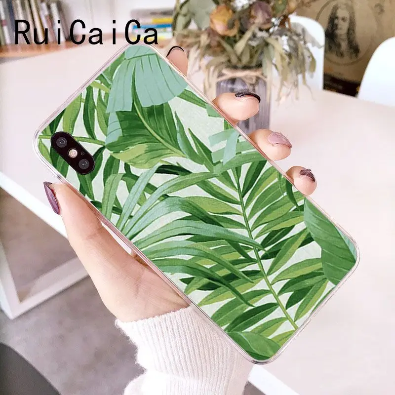 Palm tree Leaves Plant Flower