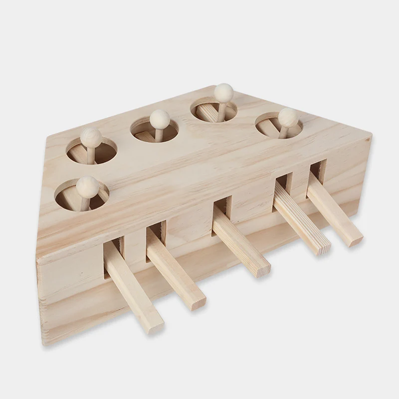 10781630898_1847764777