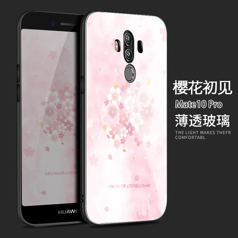 mate 10 pro (2)