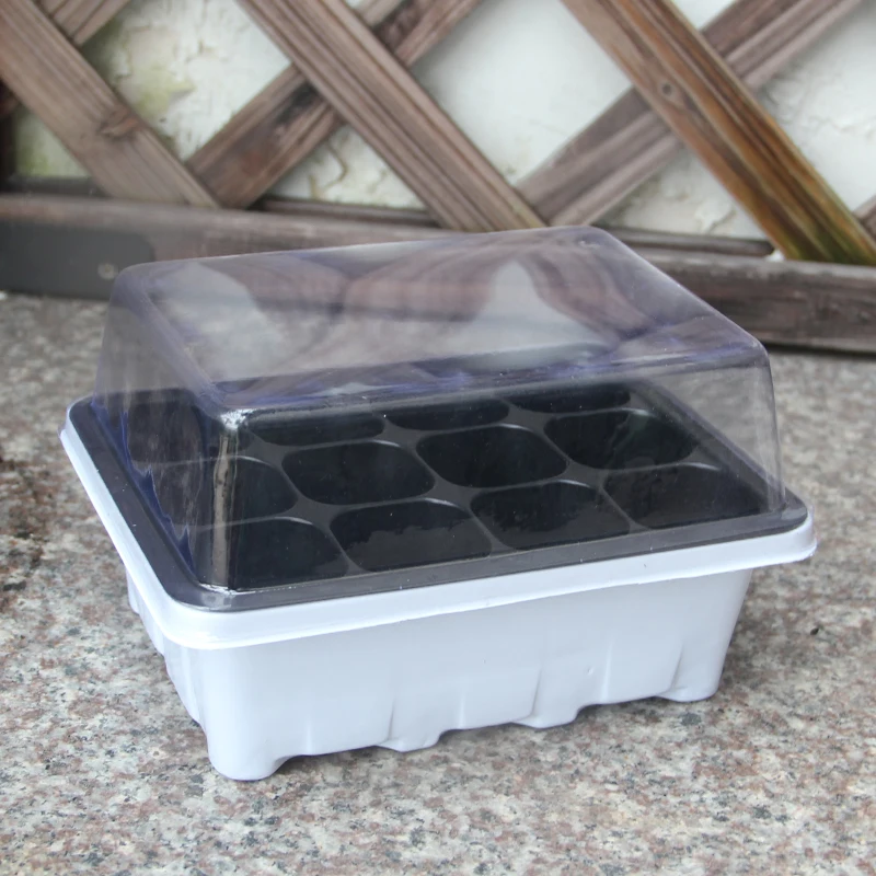 Nursery Trays 12 hole seedling pots Pure Bonsai