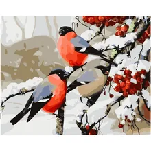 Fat Birds in winter. 40x50 см, картина по номерам, сделай сам, настенное искусство, украшение гостиной, пейзаж, фигура, животное, цветок, мультфильм