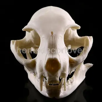 

5pcs Resin Cat Skull Skeleton Figurine Aquarium Fish Tank Landscape Decoration