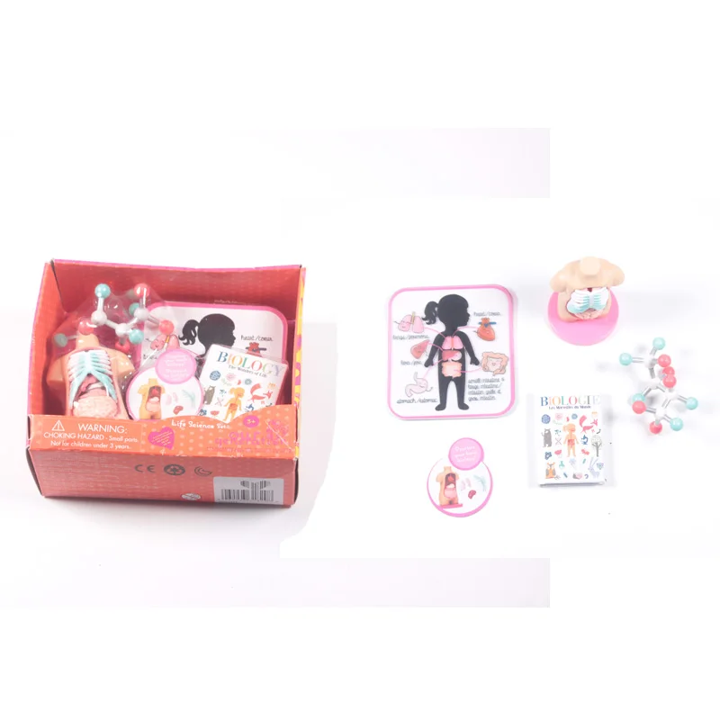 

Doll Accessories Life Science Biology Teacher DR Any 17inch Doll 18inch Doll Best Gift For Children DIY Toys