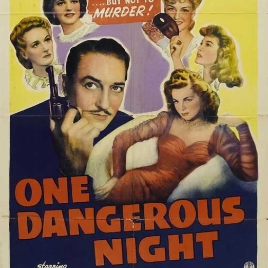One Dangerous Night Movie Poster (11 x 17)
