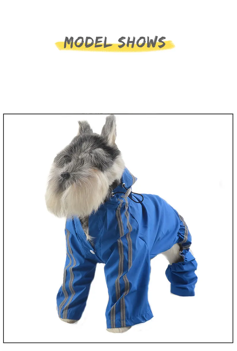 funny dog clothes
