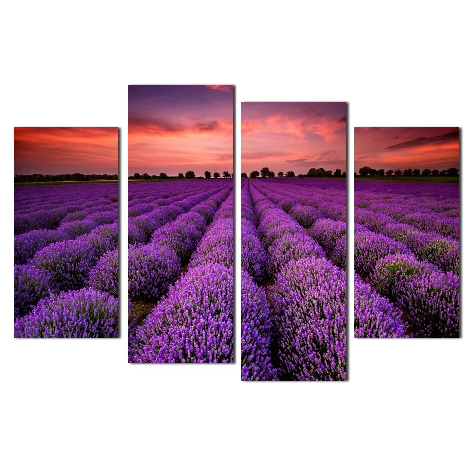 HTB1WTUCJpXXXXcGXVXXq6xXFXXXQ