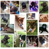 CAITEC Dog Toy Amazing Squeaker Ball Durable Floatable Springy Bite Resistant Best for Tossing Chasing Foraging Medium Large Dog 6