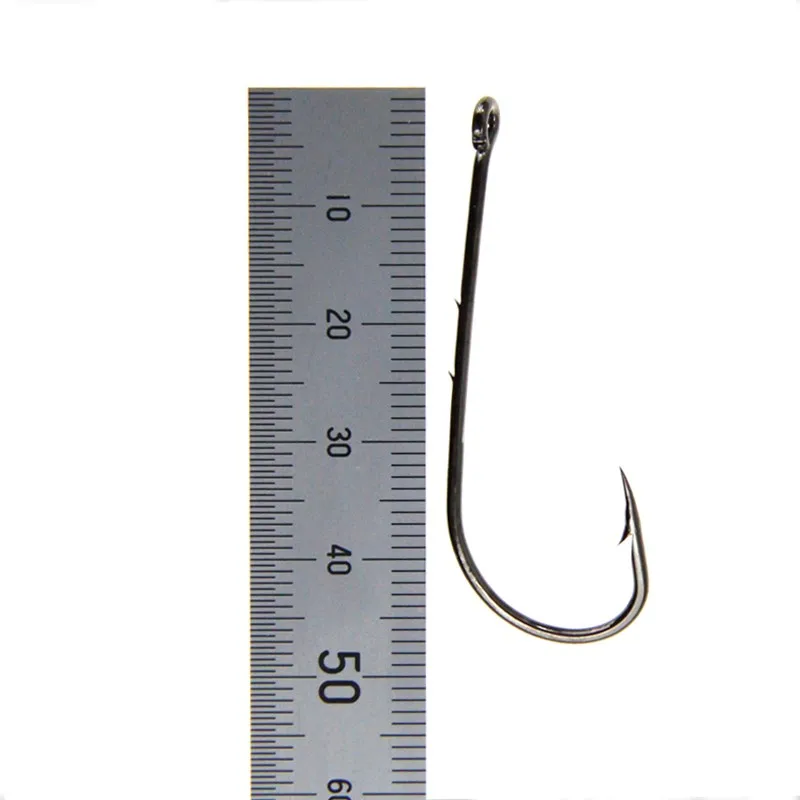 FS1204_1