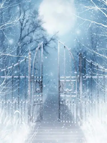 

Custom vinyl cloth print fairy snow scenic photography backdrops for party photo studio portrait backgrounds props HG-270