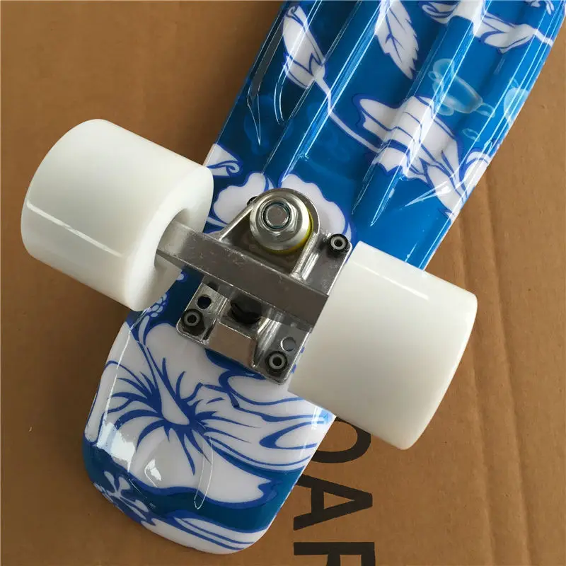 Peny skateboard  (6)
