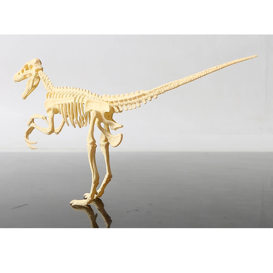 3D Скелет DIY сборка модели динозавров пластиковая костная игрушка для детей