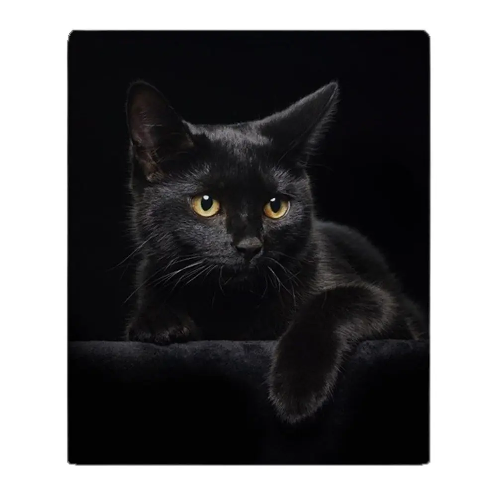 Black Cat Soft Fleece Throw Blanket Warm Cozy Bed Couch Lightweight