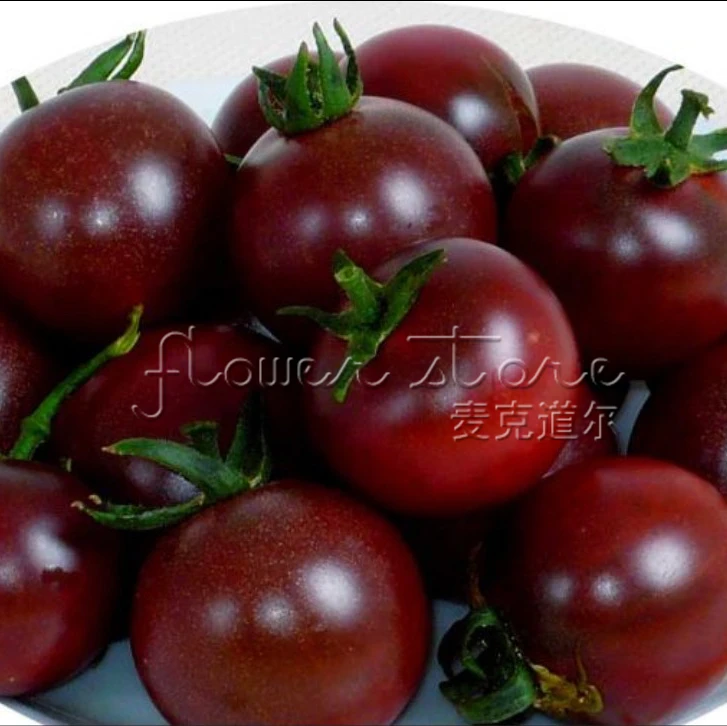 черные помидоры семена. томат черри черный принц. томат блэк черри f1. томат блэк черри f1. помидоры черри черные сорта.