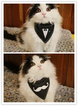 

New style handmade pet dog puppy cat kitten scarf collars wedding party collar scarf bib for cat kitten S-XL