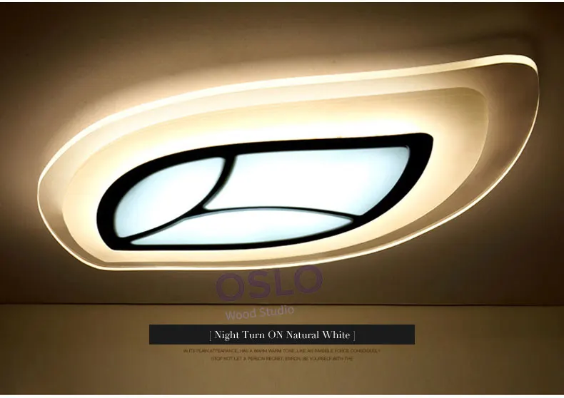 leaf-ceiling-light-_11