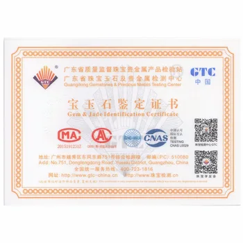 

Certificate cost-Chinese version, not sold separately