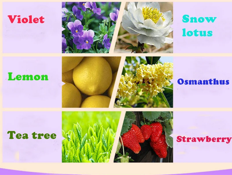 Dimollaure 12 أنواع العطر من الضروري النفط حزمة الروائح النفط ماغنوليا الياسمين زنبق الفراولة خشب الصندل البنفسج ارتفع اللوتس Dimollaure 12 أنواع العطر من الضروري النفط حزمة الروائح النفط ماغنوليا الياسمين زنبق الفراولة خشب الصندل البنفسج ارتفع اللوتس