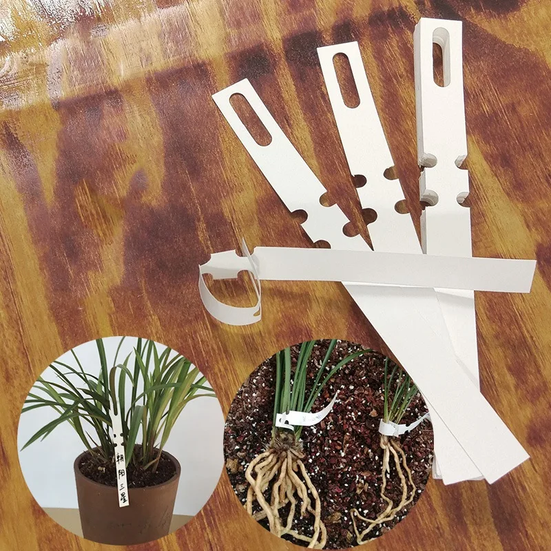 100 шт ПВХ водонепроницаемый набор колец ярлыки для растений наклейки для садоводства пластиковые этикетки орхидеи