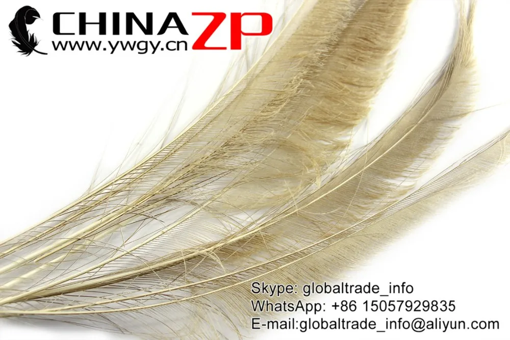 Ivory Peacock Sward Cut Feathers (2)
