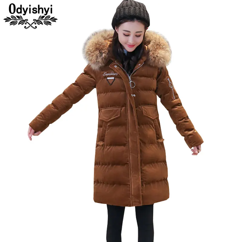 Winter Hooded Gold Velvet Cotton Jacket 2019 Women Real