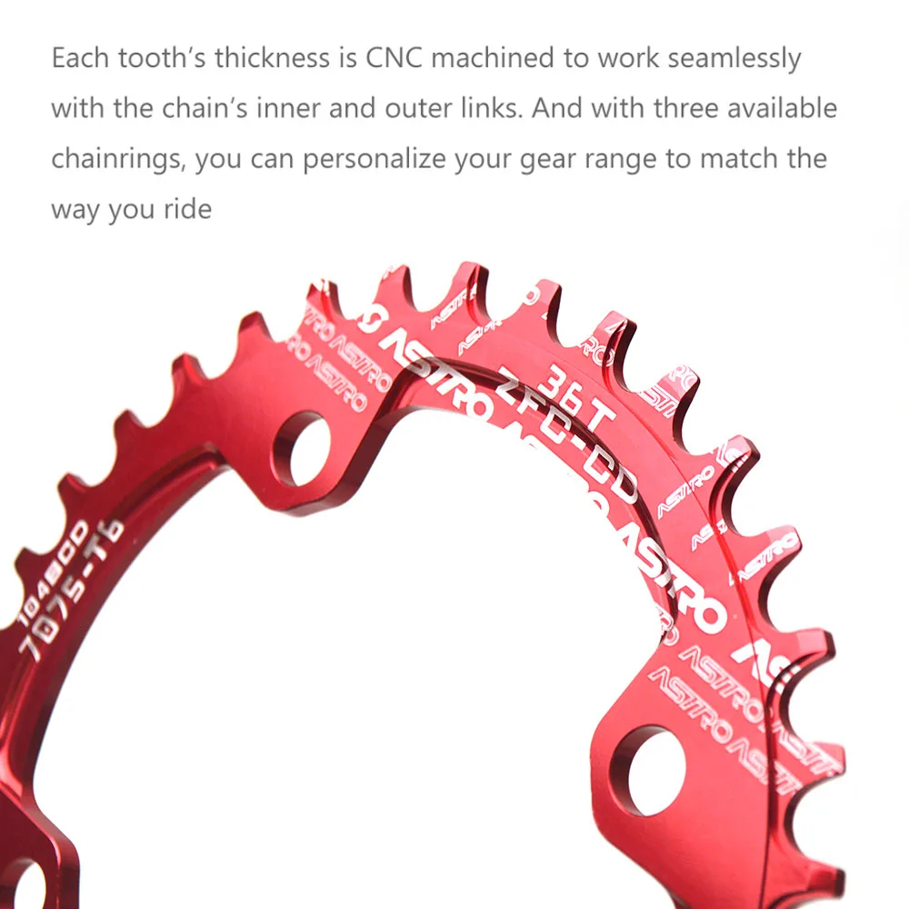 Chainwheel ring detail 5