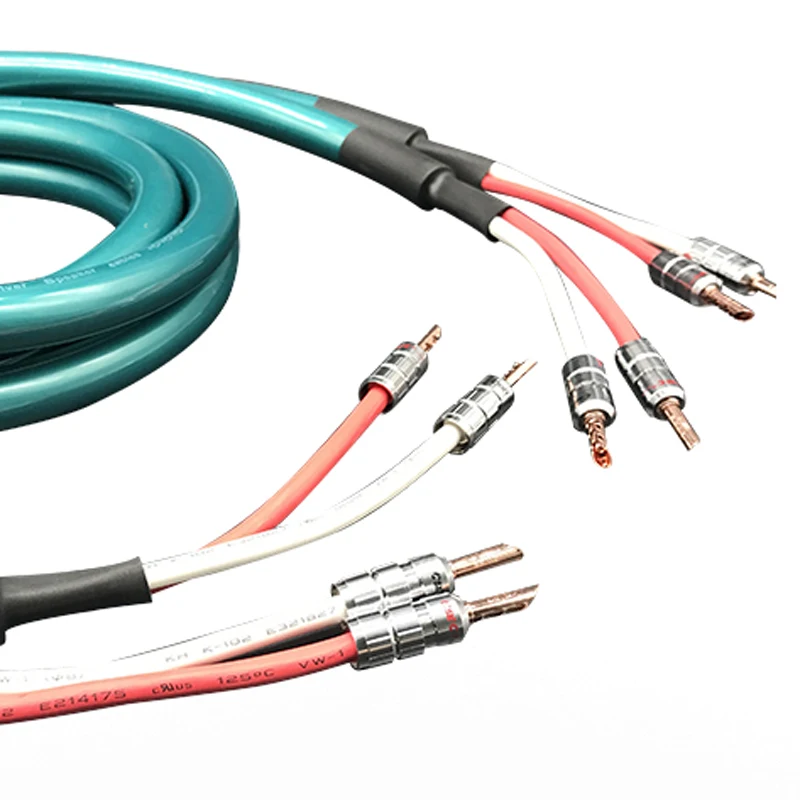 Speaker cable  (1)