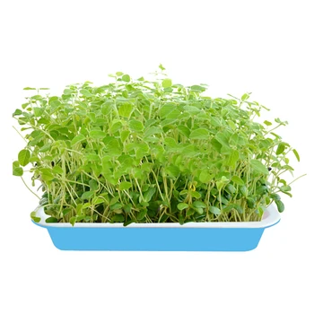 

2-set Double-layer Seed Sprouter Tray Hydroponics Basket Seeding Germination Tray - Green + White
