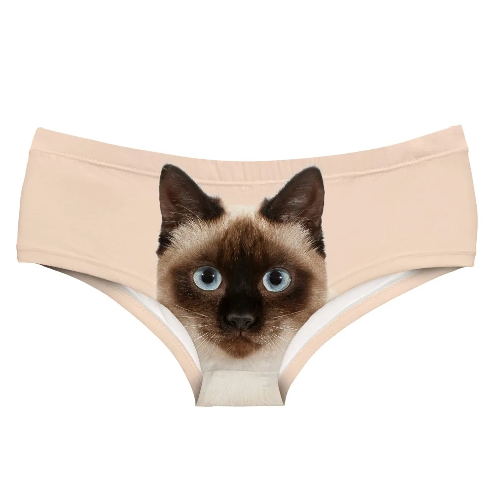 54931 BEIGE CAT (3)